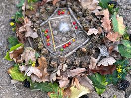 Nature mandala made