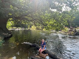 Nearby beautiful horseshoe falls