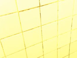 Shower recess - black mould - dirty tiles.
