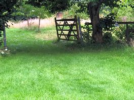 Lush green fields with rabbits playing.