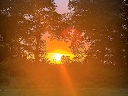 Sunset from the top of the site