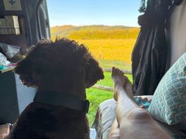 Room with a view