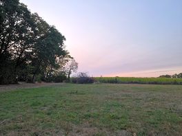 Camping field