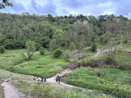 Lathkill dale