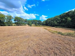 Field