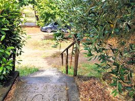 Overgrown branches leading too concrete steps where lights are intermittent in the dark