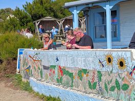 Wavecrest cafe at lizard point, ideal for seal spotting and great cakes