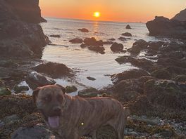 Sunset at the beach