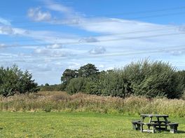 Beautiful view from our xl pitch.