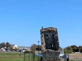 Our lady's island