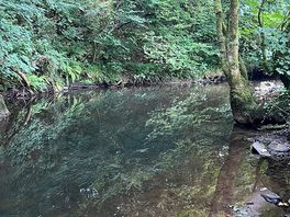 River side