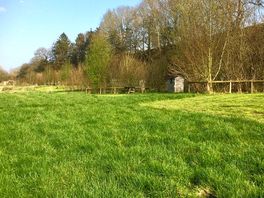 Large, private pitches, bordered by trees on three sides
