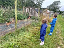 Visiting the chickens