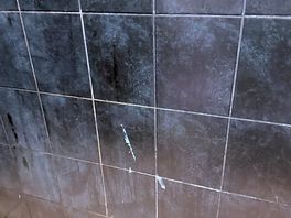 The showers