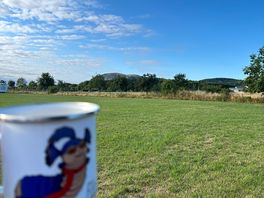 Morning viee
