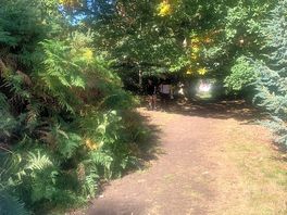Walk to sandringham