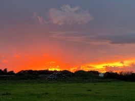 Sunset from the site.
