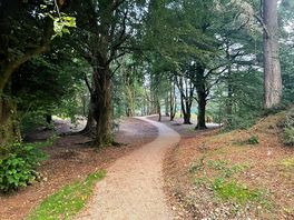 Dog walking area