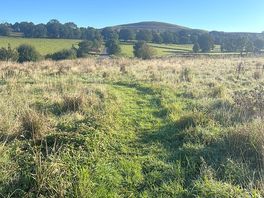 Beautiful views