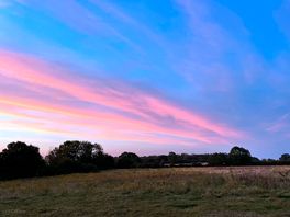 Beautiful sunset over the trees and field.