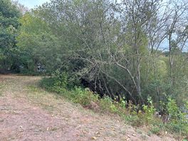 Walk/cycle path around the lake