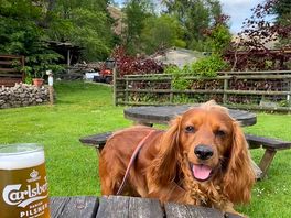 Wilson even enjoyed the beer garden.