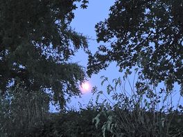 Moonlit campsite