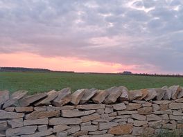 View from fire