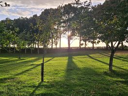 Looking at the sun setting from our pitch