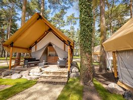 Safari tents