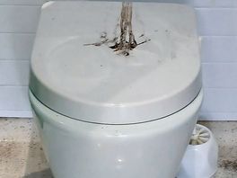 I hate dirty toilets