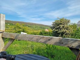 View from pod