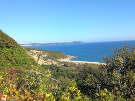 Carlyon bay