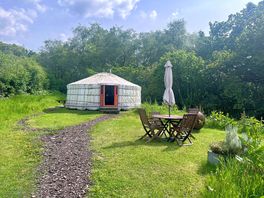 Yurt, in a private wildflower field. hot tub just behind for privacy.