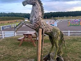 Lovely horse