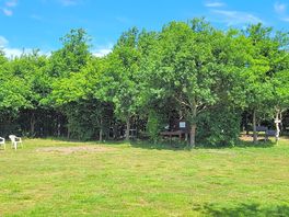 Camping area