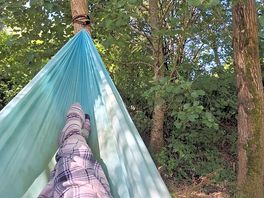 Hammock