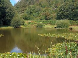 Peaceful