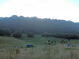 More view over the field