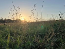 Sunsets