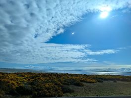 View over the water