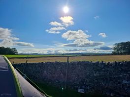 Sunny morning views