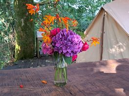 Beautiful flowers in the outdoor kitchen