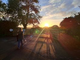 Sunrise