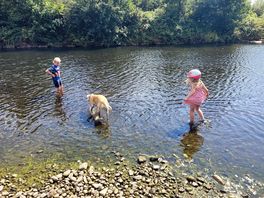 Fun in the river.