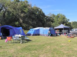 Great for large family groups