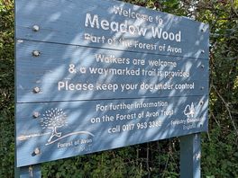 Local fenced woodland for dog walking