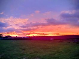 Sunset at gg and belles
