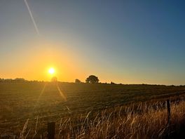 Farm