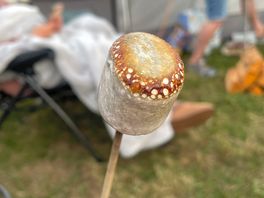 Toasted marshmallows